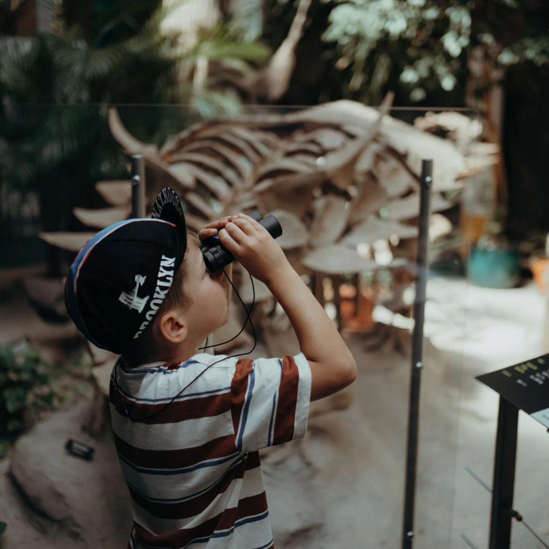 KIDYBINOCULARS - Image 11
