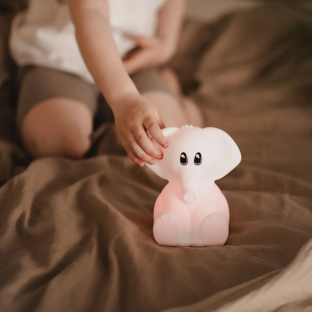 KIDYNIGHT - Image 11
