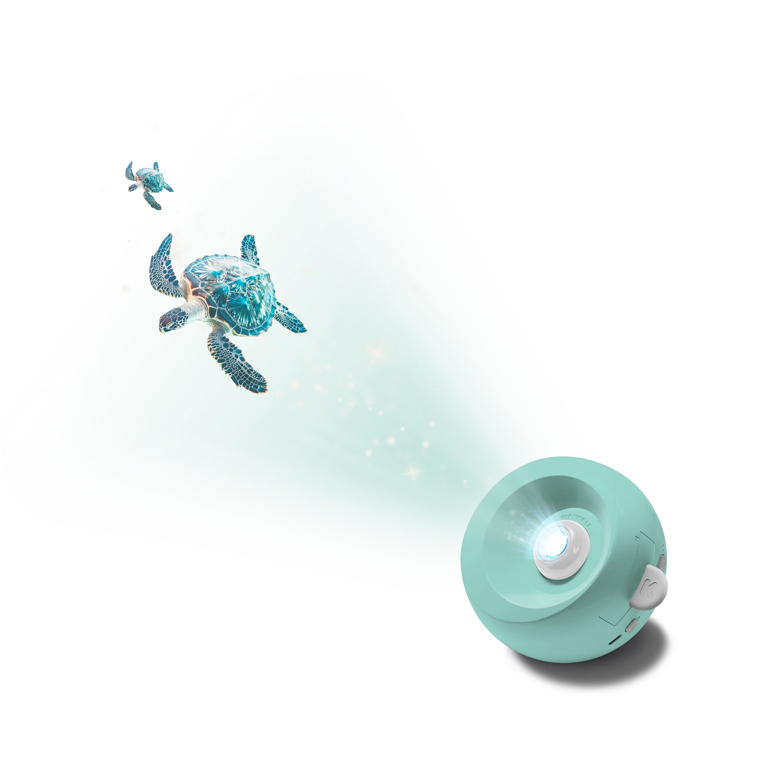 KIDYSTAR - Image 19